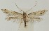  ( - MDH022449)  @11 [ ] CreativeCommons  Attribution (by) (2018) Daniel Handfield Unspecified
