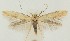  ( - MDH022448)  @11 [ ] CreativeCommons  Attribution (by) (2018) Daniel Handfield Unspecified