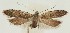  ( - MDH021984)  @11 [ ] CreativeCommons  Attribution (by) (2018) Daniel Handfield Unspecified