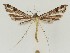  ( - MDH021911)  @11 [ ] CreativeCommons  Attribution (by) (2018) Daniel Handfield Unspecified