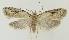  ( - MDH021335)  @11 [ ] CreativeCommons  Attribution (by) (2018) Daniel Handfield Unspecified