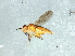  ( - Cau00310)  @13 [ ] CreativeCommons - Attribution (2009) Unspecified Centre for Biodiversity Genomics