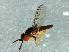 ( - Cau00359)  @13 [ ] CreativeCommons - Attribution (2009) Unspecified Centre for Biodiversity Genomics