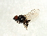  ( - Cau00429)  @12 [ ] CreativeCommons - Attribution (2009) Unspecified Centre for Biodiversity Genomics