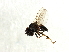  ( - Cau00430)  @12 [ ] CreativeCommons - Attribution (2009) Unspecified Centre for Biodiversity Genomics