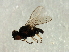  ( - Cau00432)  @12 [ ] CreativeCommons - Attribution (2009) Unspecified Centre for Biodiversity Genomics
