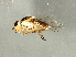  ( - Cau00466)  @13 [ ] CreativeCommons - Attribution (2009) Unspecified Centre for Biodiversity Genomics