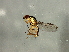  ( - Cau00467)  @14 [ ] CreativeCommons - Attribution (2009) Unspecified Centre for Biodiversity Genomics