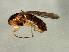  ( - Cau00471)  @12 [ ] CreativeCommons - Attribution (2009) Unspecified Centre for Biodiversity Genomics