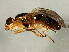  ( - Cau00473)  @12 [ ] CreativeCommons - Attribution (2009) Unspecified Centre for Biodiversity Genomics