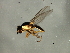  ( - Cau00468)  @12 [ ] CreativeCommons - Attribution (2009) Unspecified Centre for Biodiversity Genomics