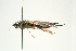  ( - SIR 022)  @12 [ ] Unspecified (default): All Rights Reserved  Unspecified Unspecified