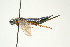  ( - SIR 023)  @12 [ ] Unspecified (default): All Rights Reserved  Unspecified Unspecified