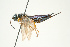  ( - SIR 024)  @12 [ ] Unspecified (default): All Rights Reserved  Unspecified Unspecified