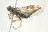  ( - SIR 028)  @14 [ ] Unspecified (default): All Rights Reserved  Unspecified Unspecified