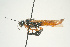  ( - SIR 031)  @13 [ ] Unspecified (default): All Rights Reserved  Unspecified Unspecified