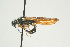  ( - SIR 032)  @13 [ ] Unspecified (default): All Rights Reserved  Unspecified Unspecified