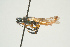  ( - SIR 036)  @14 [ ] Unspecified (default): All Rights Reserved  Unspecified Unspecified