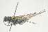  ( - SIR 042)  @13 [ ] Unspecified (default): All Rights Reserved  Unspecified Unspecified