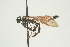  ( - SIR 044)  @13 [ ] Unspecified (default): All Rights Reserved  Unspecified Unspecified