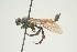  ( - SIR 045)  @13 [ ] Unspecified (default): All Rights Reserved  Unspecified Unspecified