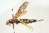  ( - SIR 047)  @14 [ ] Unspecified (default): All Rights Reserved  Unspecified Unspecified