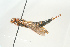  ( - SIR 049)  @14 [ ] Unspecified (default): All Rights Reserved  Unspecified Unspecified
