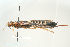 ( - SIR 051)  @13 [ ] Unspecified (default): All Rights Reserved  Unspecified Unspecified