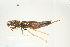  ( - SIR 052)  @14 [ ] Unspecified (default): All Rights Reserved  Unspecified Unspecified