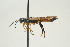  ( - SIR 057)  @13 [ ] Unspecified (default): All Rights Reserved  Unspecified Unspecified