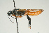  ( - SIR 058)  @13 [ ] Unspecified (default): All Rights Reserved  Unspecified Unspecified