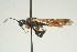  ( - SIR 059)  @13 [ ] Unspecified (default): All Rights Reserved  Unspecified Unspecified
