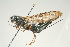  ( - SIR 064)  @14 [ ] Unspecified (default): All Rights Reserved  Unspecified Unspecified