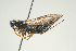  ( - SIR 066)  @14 [ ] Unspecified (default): All Rights Reserved  Unspecified Unspecified