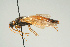  ( - SIR 069)  @11 [ ] Unspecified (default): All Rights Reserved  Unspecified Unspecified