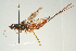  ( - SIR 074)  @14 [ ] Unspecified (default): All Rights Reserved  Unspecified Unspecified