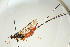  ( - SIR 075)  @14 [ ] Unspecified (default): All Rights Reserved  Unspecified Unspecified
