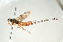  ( - SIR 076)  @13 [ ] Unspecified (default): All Rights Reserved  Unspecified Unspecified