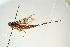  ( - SIR 077)  @12 [ ] Unspecified (default): All Rights Reserved  Unspecified Unspecified