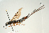  ( - SIR 080)  @14 [ ] Unspecified (default): All Rights Reserved  Unspecified Unspecified