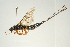  ( - SIR 081)  @14 [ ] Unspecified (default): All Rights Reserved  Unspecified Unspecified
