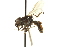  ( - CNC DIPTERA 162762)  @12 [ ] CreativeCommons - Attribution (2012) CNC/CBG Photography Group Centre for Biodiversity Genomics