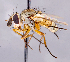  ( - CNC1699446)  @11 [ ] No rights reserved (2021) Unspecified Canadian National Collection of Insects, Arachnids and Nematodes
