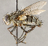  ( - CNC1699854)  @11 [ ] No rights reserved (2021) Unspecified Canadian National Collection of Insects, Arachnids and Nematodes