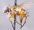  (Siphona sp. GER1 - CNC1709987)  @11 [ ] No rights reserved (2021) Unspecified Canadian National Collection of Insects, Arachnids and Nematodes