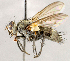  ( - CNC1726948)  @11 [ ] No rights reserved (2021) Unspecified Canadian National Collection of Insects, Arachnids and Nematodes