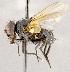  ( - CNC1730051)  @11 [ ] No rights reserved (2021) Unspecified Canadian National Collection of Insects, Arachnids and Nematodes