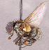  ( - CNC1966336)  @11 [ ] No rights reserved (2022) Unspecified Canadian National Collection of Insects, Arachnids and Nematodes