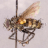  ( - CNC1966677)  @11 [ ] No rights reserved (2022) Unspecified Canadian National Collection of Insects, Arachnids and Nematodes