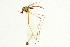  ( - CNC DIPTERA 192223)  @12 [ ] CreativeCommons - Attribution (2012) CNC/CBG Photography Group Centre for Biodiversity Genomics
